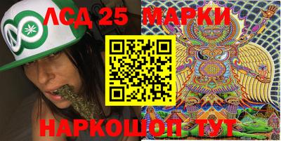 гидра Будённовск