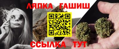гидра Будённовск