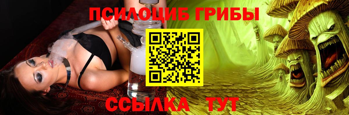 Каменск-Уральский  Псилоцибиновые грибы мухоморы  купить наркотик  Вход с VPN 